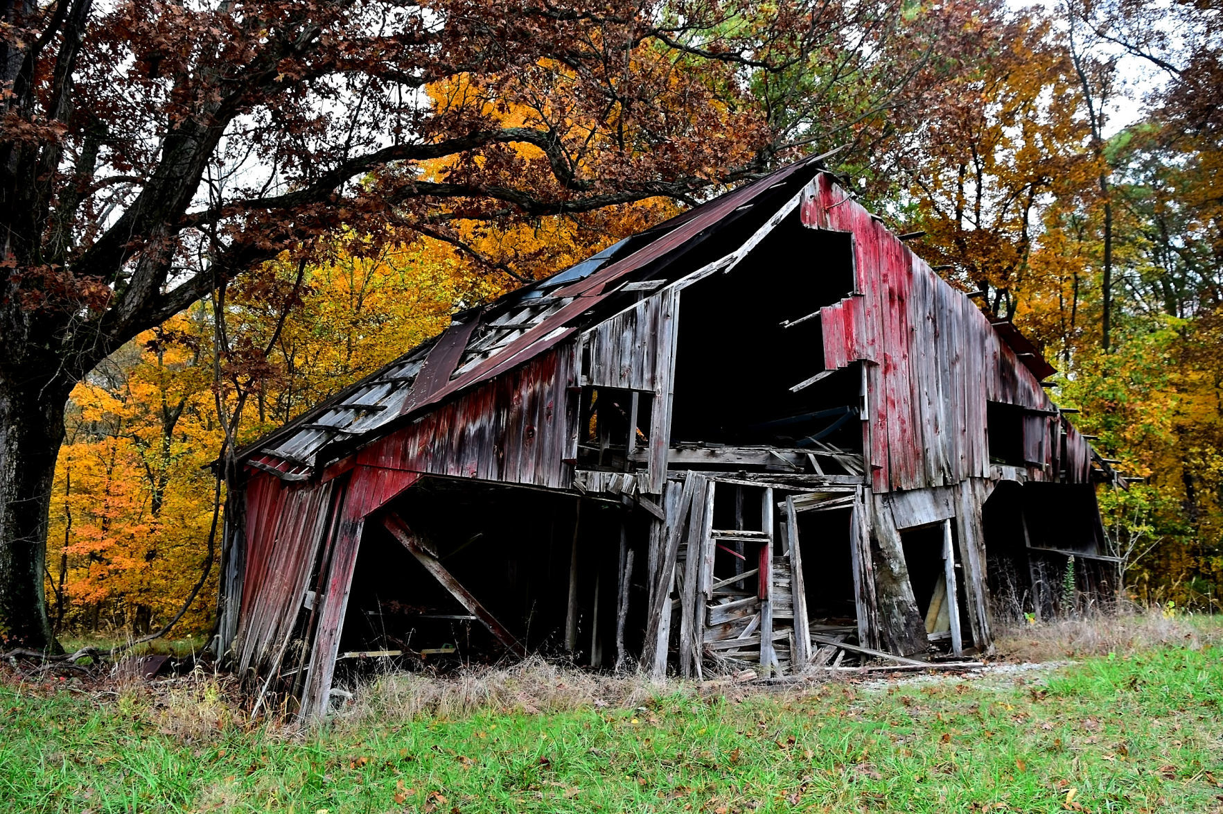Forgotten